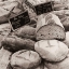 Picture of LES PAINS NO. 1