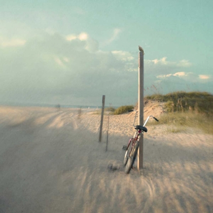 Picture of BIKING ON OCRACOKE