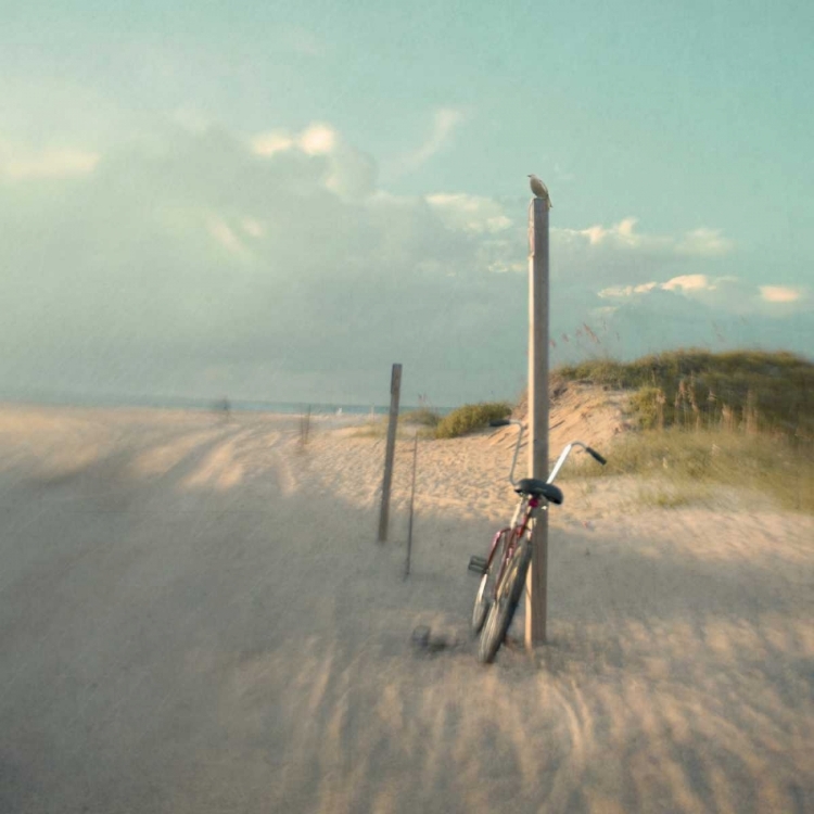 Picture of BIKING ON OCRACOKE