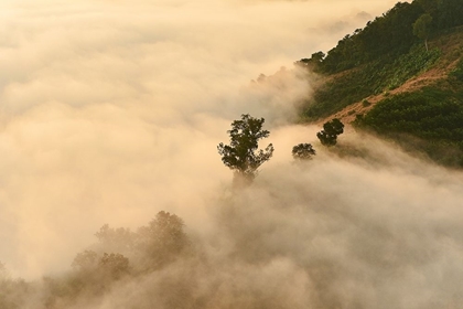 Picture of CLOUDS