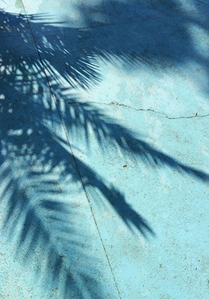 Picture of TURQUOISE SHADOW