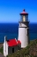 Picture of HECETA HEAD LIGHTHOUSE
