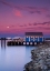 Picture of MOON OVER SIDNEY FISH MARKET