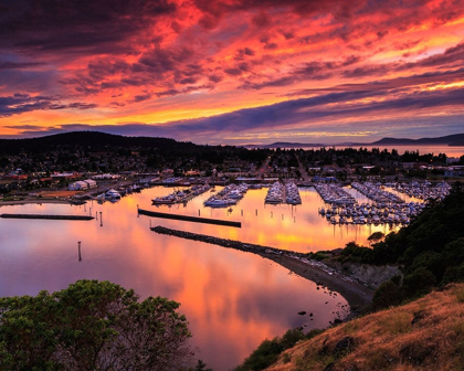 Picture of RED SUNSET OVER HARBOR