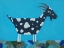 Picture of FERGUS THE GOAT