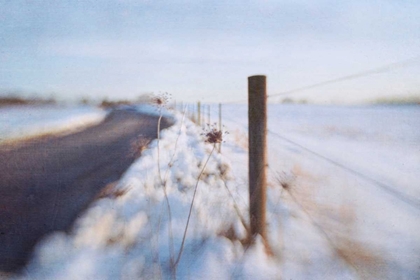 Picture of WALKING ON THE EDGE OF WINTER