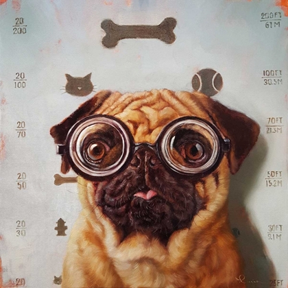 Picture of CANINE EYE EXAM