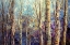 Picture of ELVEN KINGDOM