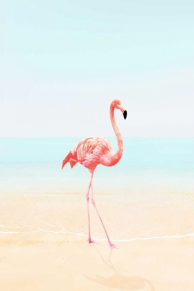 Picture of FLAMINGO ON THE BEACH II