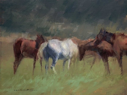 Picture of SOUTHERN HORSES
