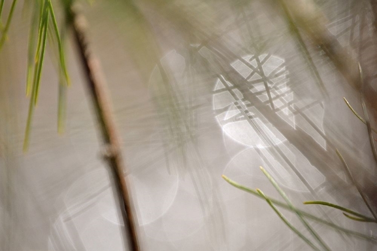 Picture of ABSTRACT BY THE RIVER