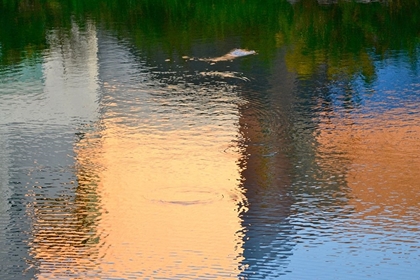 Picture of REFLECTION ON THE IOWA RIVER NO. 1