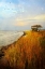 Picture of MORNING HAS BROKEN