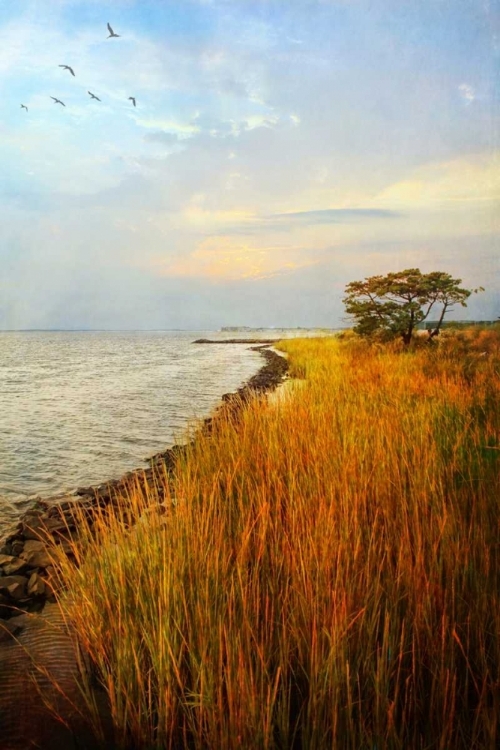 Picture of MORNING HAS BROKEN