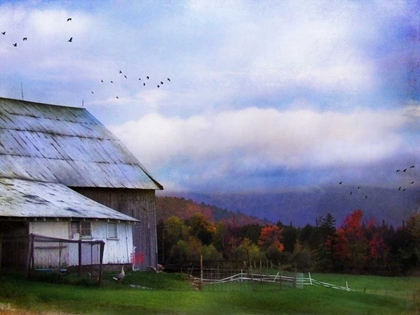 Picture of VERMONT AFTERNOON