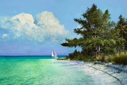 Picture of CAYO COSTA BEACH