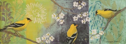 Picture of GOLDFINCHES BLOOMING