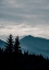 Picture of BLUE MOUNTAINS VII