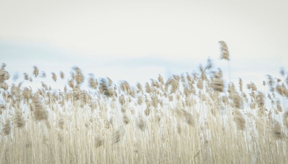 Picture of WEAVING THROUGH EARTH AND SKY