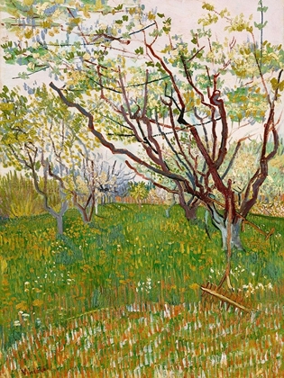 Picture of VAN GOGH, VINCENTTHE FLOWERING ORCHARD