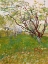 Picture of VAN GOGH, VINCENTTHE FLOWERING ORCHARD