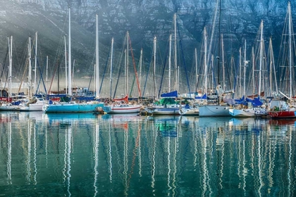 Picture of HOUT BAY HARBOR, HOUT BAY SOUTH AFRICA