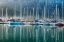 Picture of HOUT BAY HARBOR, HOUT BAY SOUTH AFRICA