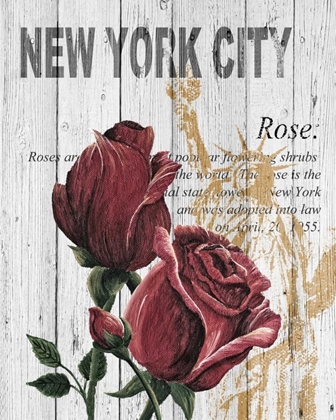 Picture of NEW YORK ROSES