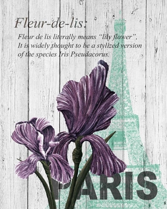 Picture of PARIS IRIS