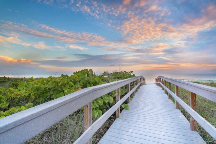 Picture of THE WALK TO SUNSET BEACH