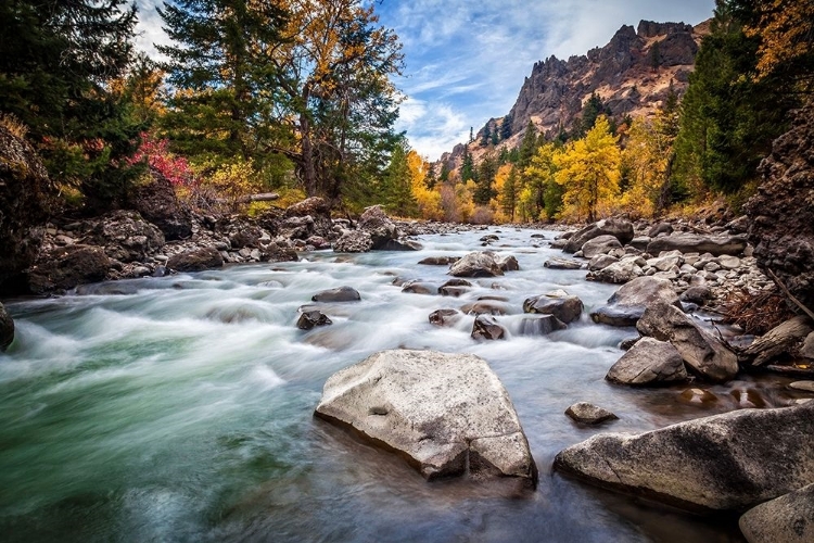 Picture of TETON RIVER RUSH