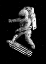 Picture of KICKFLIP IN SPACE
