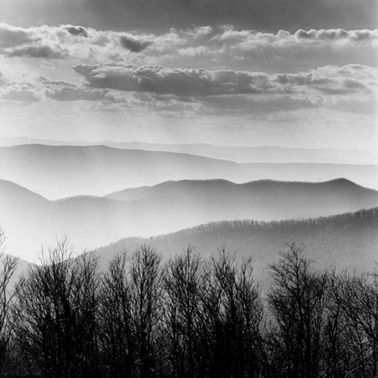 Picture of MISTY MOUNTAINS