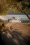 Picture of CRESCENT LAKE PIER