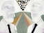 Picture of THE LITERATES