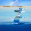 Picture of RIVER MOORINGS