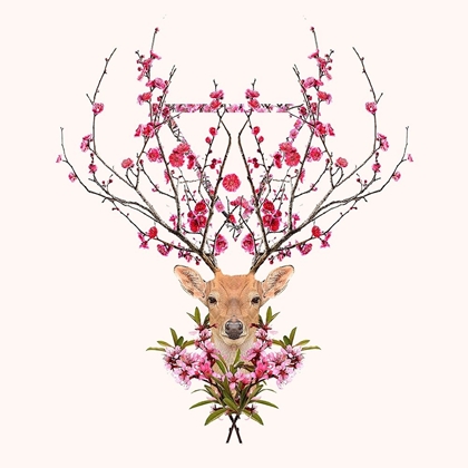 Picture of SPRING DEER