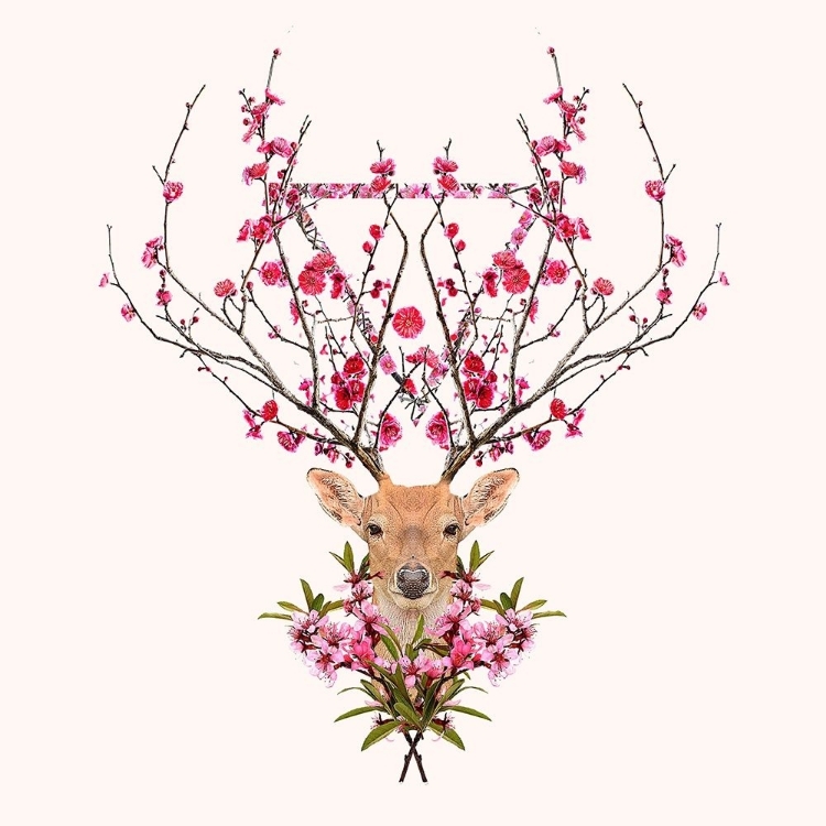 Picture of SPRING DEER