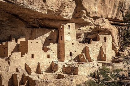 Picture of MESA VERDE