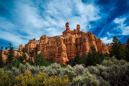 Picture of RED CANYON