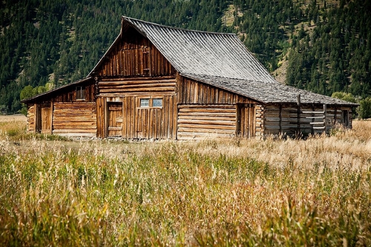 Picture of TETON BARN