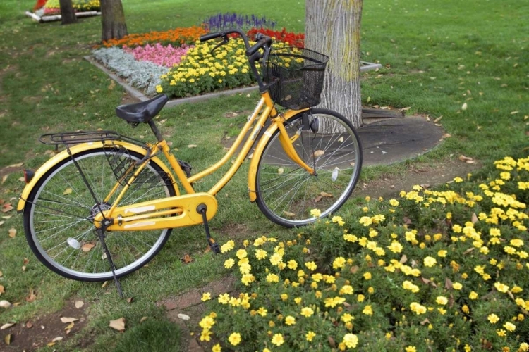 Picture of JAPAN BICYCLE - 1