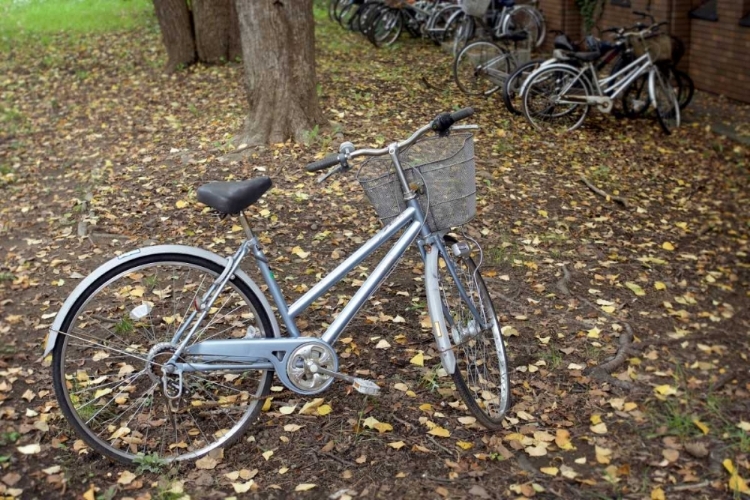 Picture of JAPAN BICYCLE - 10