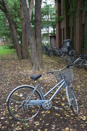 Picture of JAPAN BICYCLE - 11