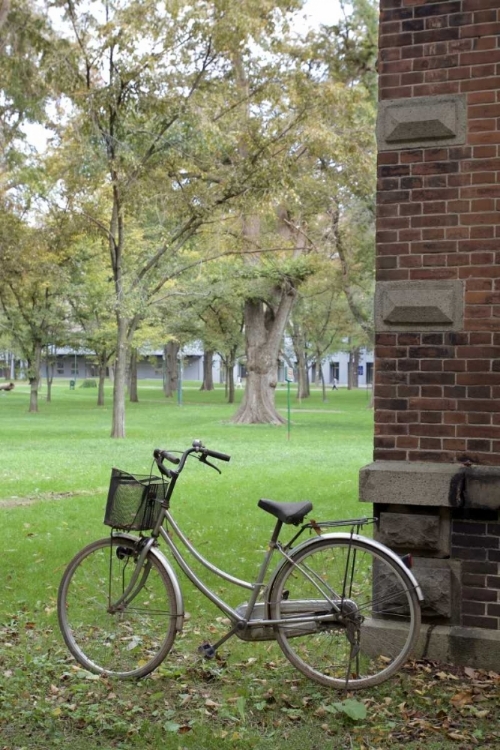 Picture of JAPAN BICYCLE - 13