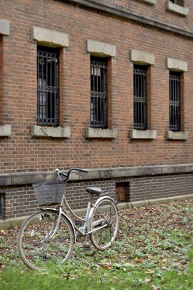 Picture of JAPAN BICYCLE - 15