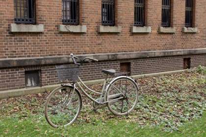 Picture of JAPAN BICYCLE - 16