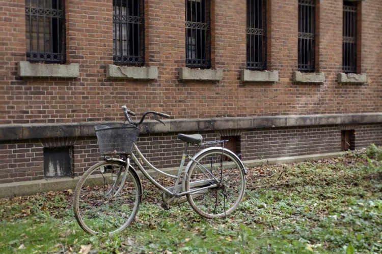 Picture of JAPAN BICYCLE - 17