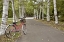 Picture of JAPAN BICYCLE - 18