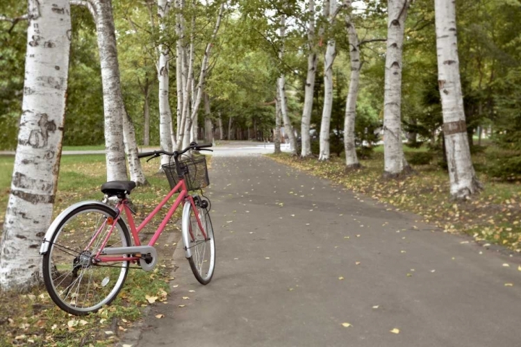 Picture of JAPAN BICYCLE - 18